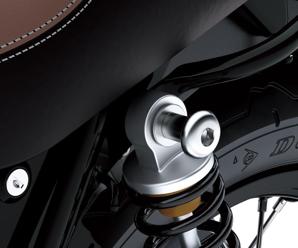 Luggage Hook Nut Set (W800)