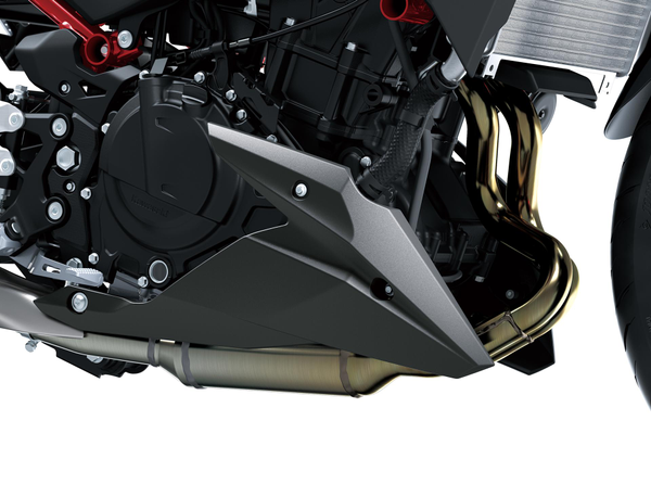 Lower Cowling (Z500)