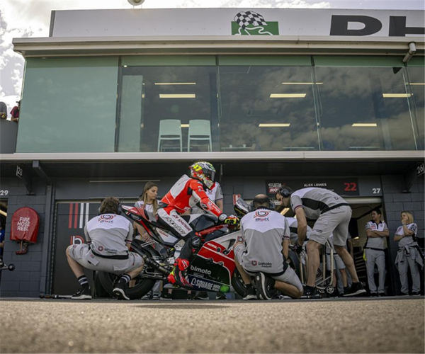 BbKRT 2025 Bermuda (Male)